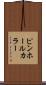 ピンホール・カラー Scroll
