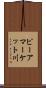 ピーアマーケット川 Scroll