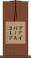 ファイバースコープ Scroll
