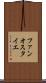 ファンオスタイエ Scroll