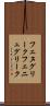 フェヌグリーク Scroll