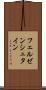 フェルゼンシュタイン Scroll