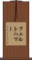 フェルトハマー Scroll