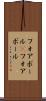 フォアボール(P) Scroll