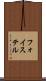 フォイステル Scroll