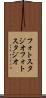 フォトスタジオ Scroll