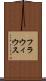 フラウィウス Scroll