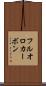 フルオロカーボン Scroll