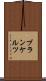ブランケルツ Scroll