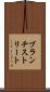 ブランチストリート Scroll