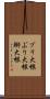 ブリ大根 Scroll