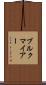 ブルクマイアー Scroll