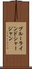 ブルーラインドシャージャン Scroll