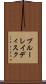 ブルーレイディスク Scroll