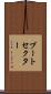 ブートセクター Scroll