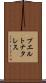 プエルトナタレス Scroll