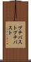 プチバスト Scroll