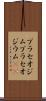 プラセオジム Scroll