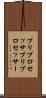 プリプロセッサ Scroll