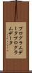 プログラムデータ Scroll