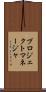 プロジェクト・マネージャ Scroll