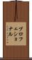 プロフェショナル Scroll