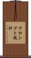 プロンプト設計 Scroll
