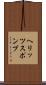 ヘリッツスポンプ Scroll