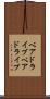ベアドライブ Scroll