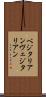 ベジタリアン Scroll