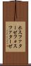 ホスファターゼ Scroll