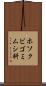 ホソクビゴミムシ科 Scroll