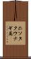 ホソヌタウナギ属 Scroll