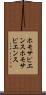 ホモサピエンス Scroll
