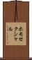 ホモセクシャル Scroll