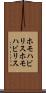 ホモハビリス Scroll