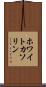 ホワイトカソリン Scroll