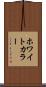 ホワイトカラー Scroll
