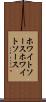 ホワイトソース Scroll