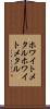 ホワイトメタル Scroll