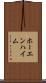 ホーエンハイム Scroll