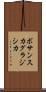 ボサンスカグラジシカ Scroll