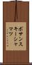 ボサンスキーシャマツ Scroll