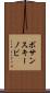 ボサンスキーノビ Scroll