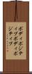 ボディポジティブ Scroll