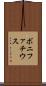 ボニファチウス Scroll