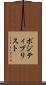 ポジティブリスト Scroll