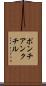 ポンチアンクチル Scroll