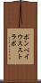 ポンペイウスストラボ Scroll