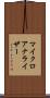 マイクロアナライザー Scroll